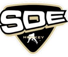 SDE Hockey söker ny Sportchef